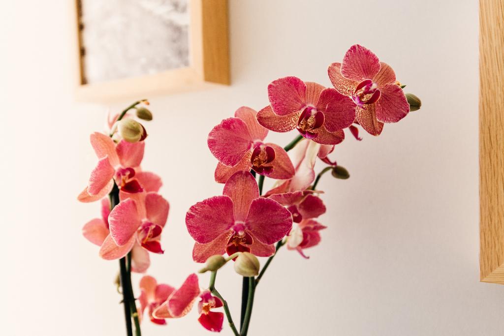 Adriano Augusto Bed & Breakfast Rome Ruang foto