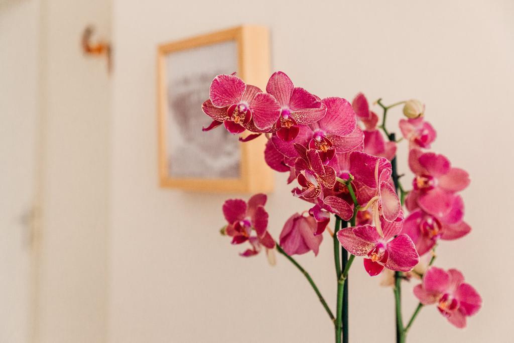 Adriano Augusto Bed & Breakfast Rome Ruang foto