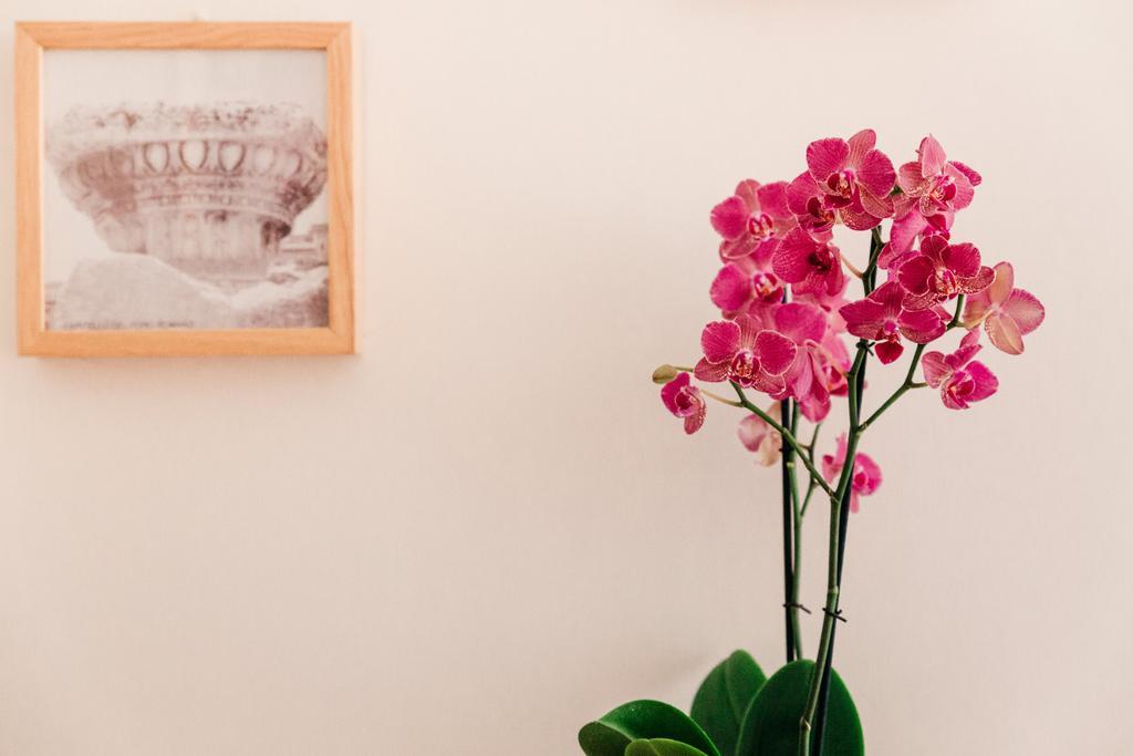Adriano Augusto Bed & Breakfast Rome Ruang foto